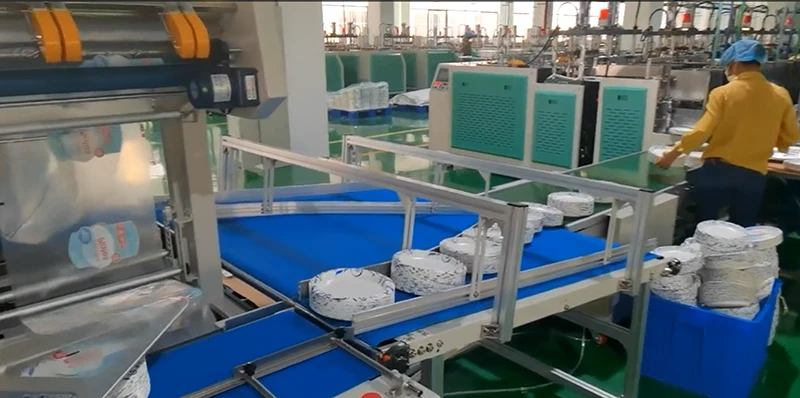Fully Automatic Paper Plate Line for Mass Production